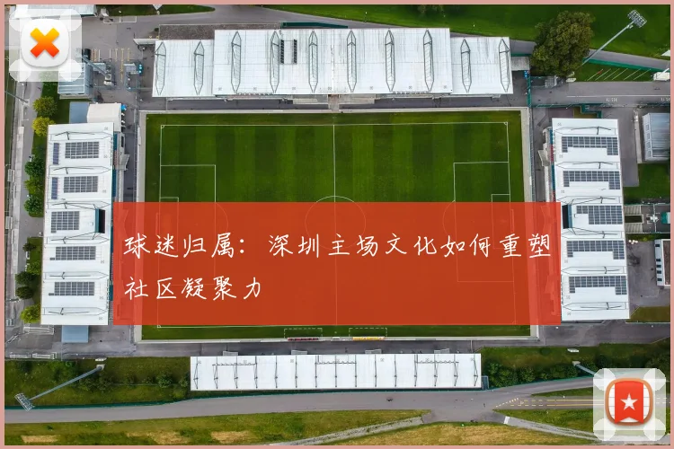 球迷归属：深圳主场文化如何重塑社区凝聚力