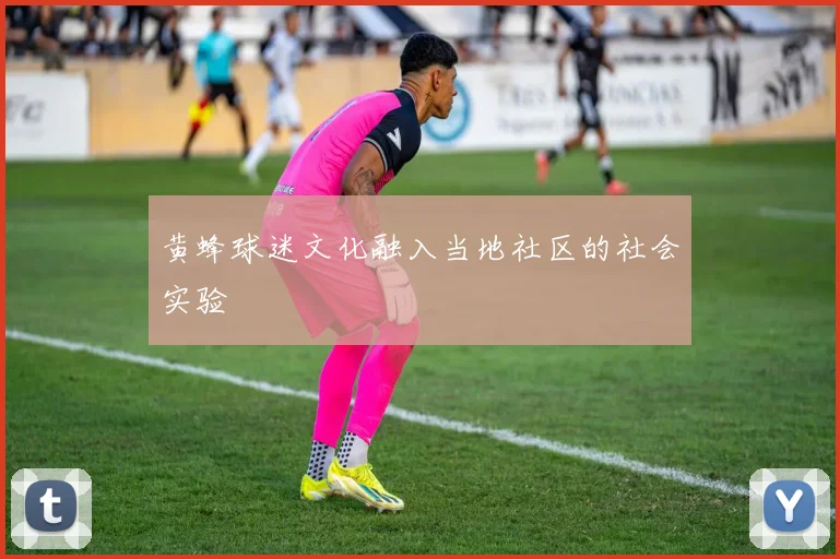 黄蜂球迷文化融入当地社区的社会实验