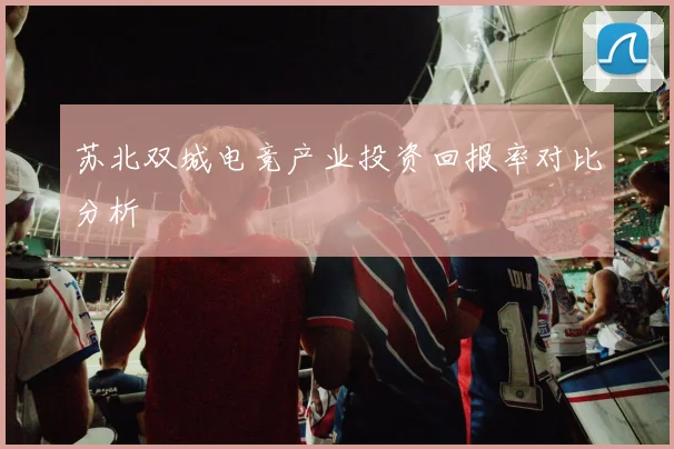 苏北双城电竞产业投资回报率对比分析
