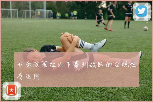 电竞政策红利下泰州战队的合规生存法则